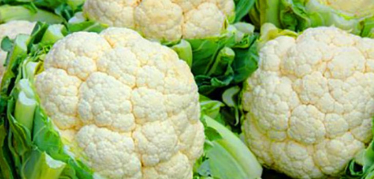 Карфиол, калчки, гајење и негу