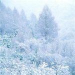 Како фотографисати зиму? Како фотографисати зиму?