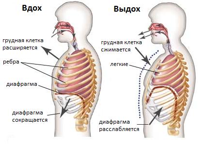 Како научити да певате сами?