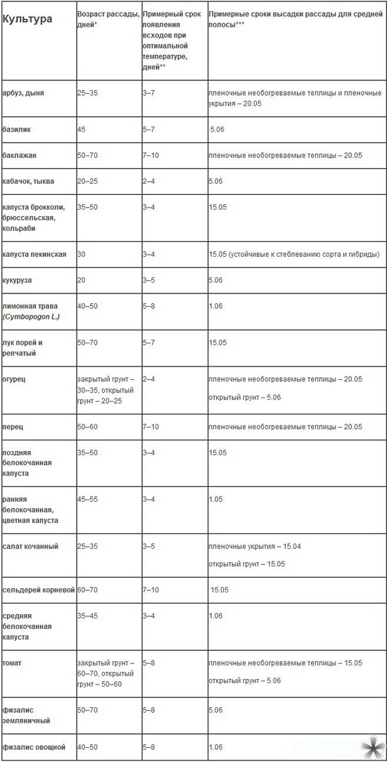 Када садити саднице на отвореном простору?