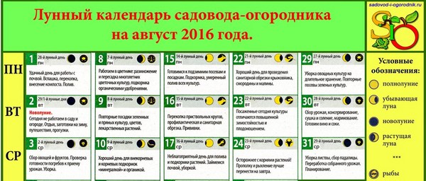 Лунарни календар за камионе за август 2016. за регион Москве, средњу зону Русије, Уралу, Сибиру, Северозападу, Белорусији и Украјини Лунарни календар за камионе за август 2016. за регион Москве, средњу зону Русије, Уралу, Сибиру, Северозападу, Белорусији и Украјини