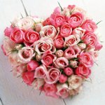 Срце руже 14. фебруара