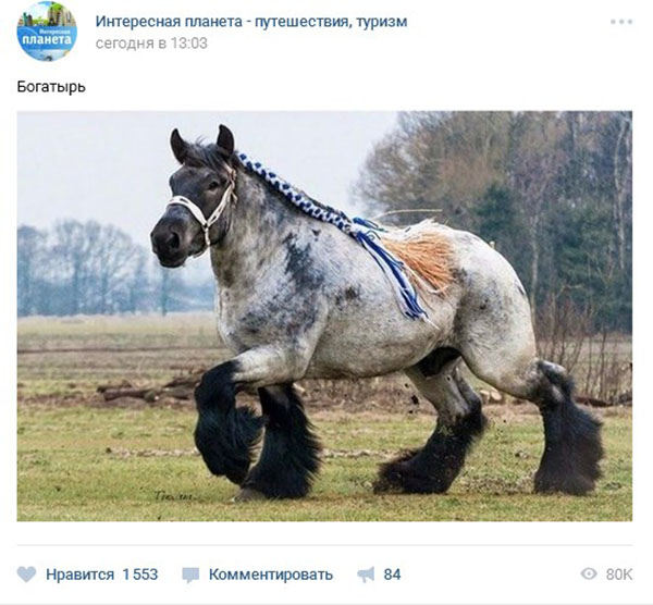 Како су погледи у ВЦ-у