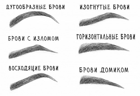 Облици обрва