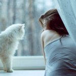 Шта ако је момак бацио? Шта ако је момак бацио?