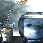 Цомфорт Зоне: како то проширити? Цомфорт Зоне: како то проширити?