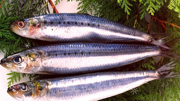 Како добро и брзо исећи харингу из костију