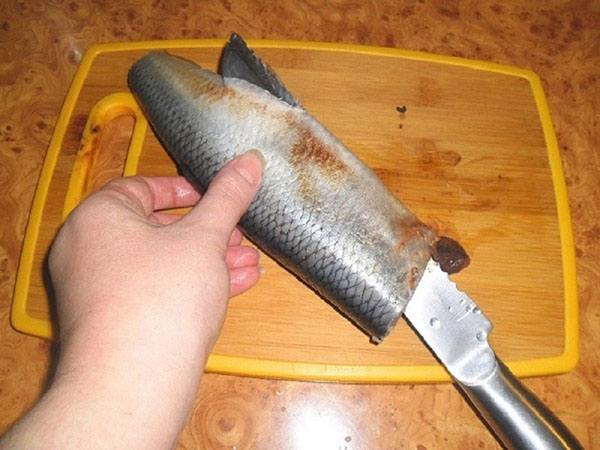 Како добро и брзо исећи харингу из костију