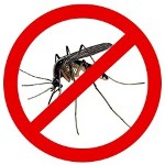 Како се ослободити комараца? Како се ослободити комараца?