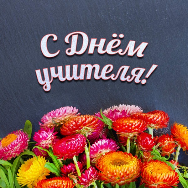 Лепе и смешне слике - честитке на Дан учитеља 2017