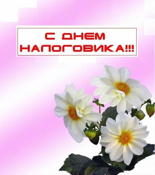 Званичне и смешне честитке на Дан пореског радника у стиху и прози