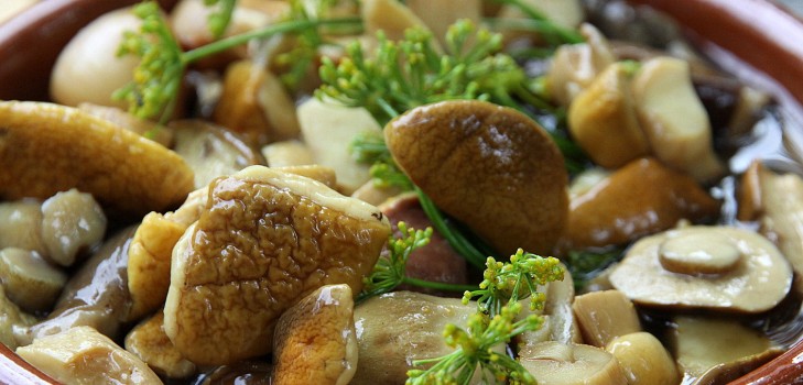 Беле печурке: рецепти за кување укусних јела