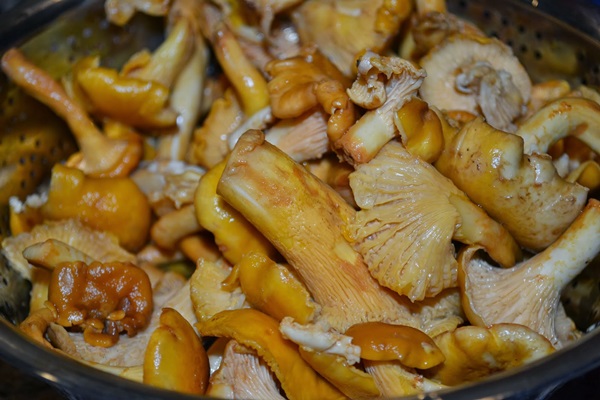 Како кухати лишће у тигању