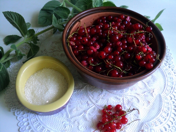 Како замрзнути црвене рибизле
