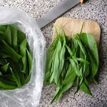 Слани бели лук Слани бели лук
