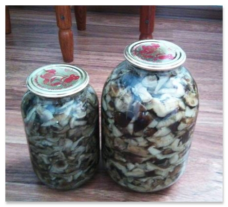 Маринирани веслачи