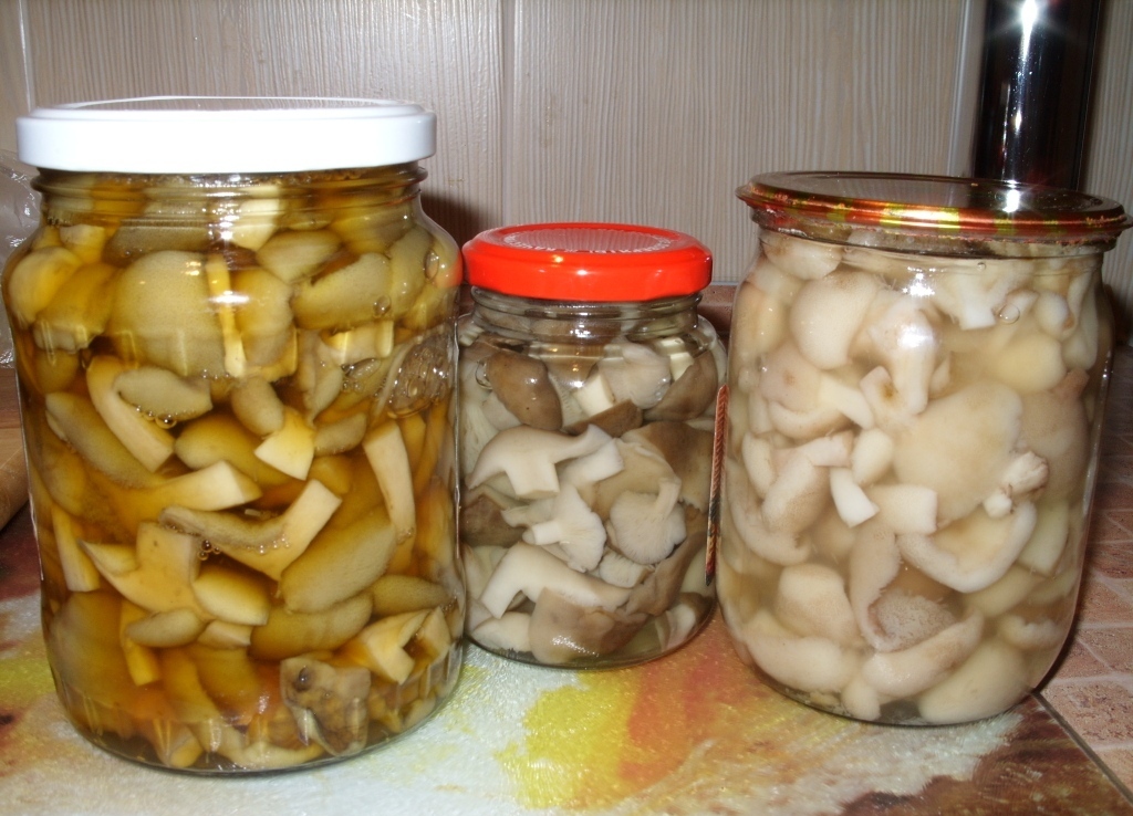 Маринирани веслачи