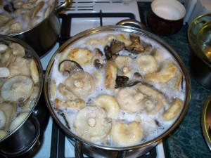 Маринирани веслачи