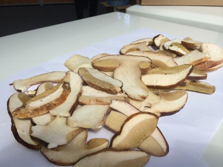 Рецепт за супу од сушених печурака, његове корисне особине