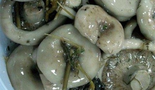 Ружеви за зиму: укусни и једноставни рецепти за кување