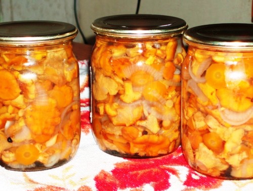 Слана лисица
