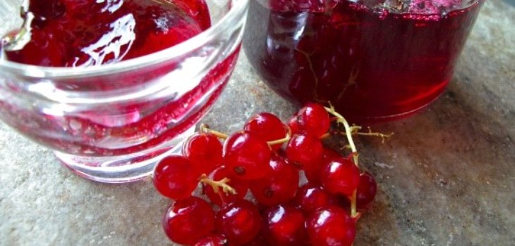 црвене рибизле
