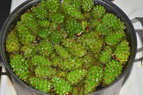 Оригинални џем из борових конуса