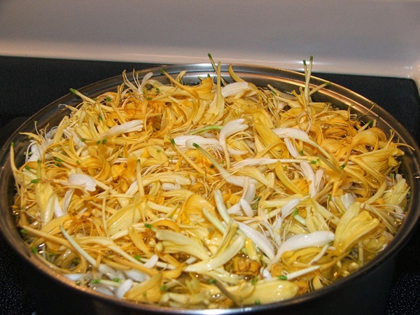 Хладнокрвни џем