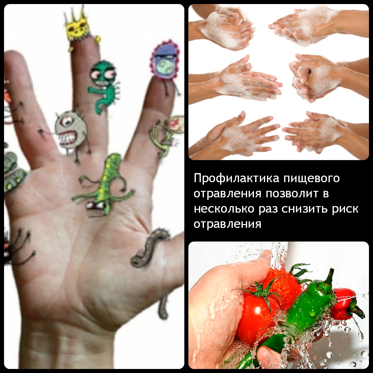 Шта јести након тровања