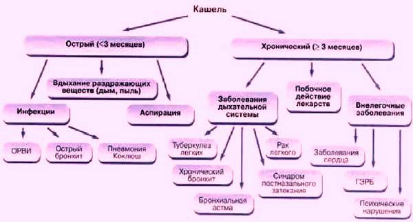 Како брзо излечити кашаљ код куће, ефикасни људски лекови