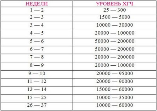 ХЦГ током трудноће