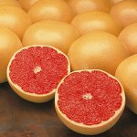 Корисна својства грејпа Корисна својства грејпа