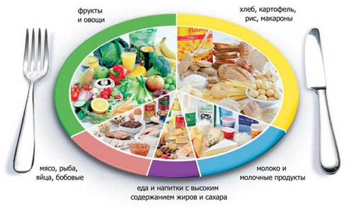 Права исхрана за губљење тежине - оно што кажу критике