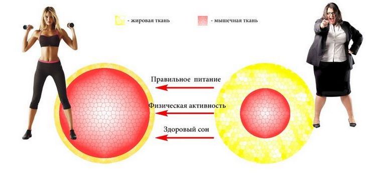 Како препознати и шта урадити у случају метаболичких поремећаја