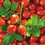 Кукови својства