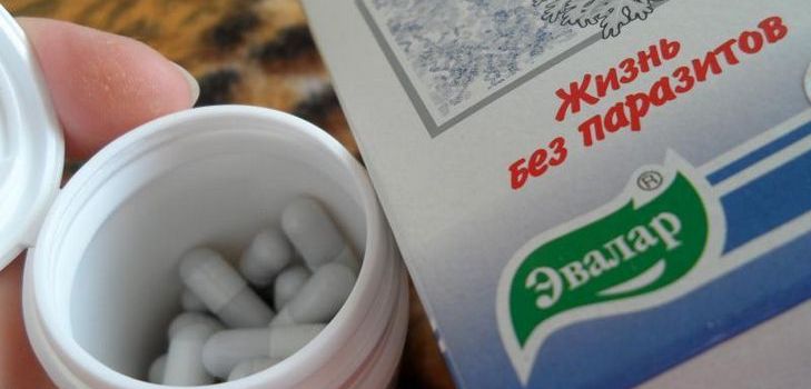 Антипаразитни лек је Троицхцхатка Евалар. Састав. Инструкције. Коментари